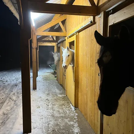 Bed & Breakfast Ecole Buissonniere