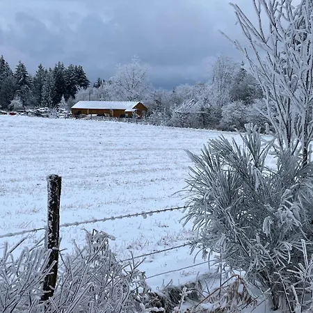 Ecole Buissonniere Bed & Breakfast Vielsalm