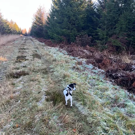 Ecole Buissonniere 4*